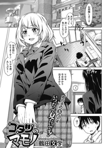 コタツのマモノ（単話）【鶴田文学×単話】評価4.50