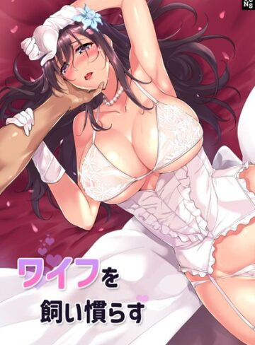 ワイフを飼い慣らす【JJM×フルカラー】評価4.20